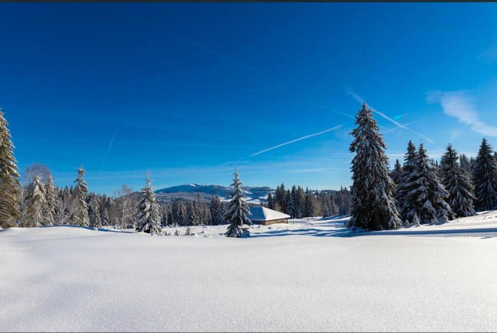 Chaleureux Studio Montagnard Avec Balcon 2303 Prémanon エクステリア 写真