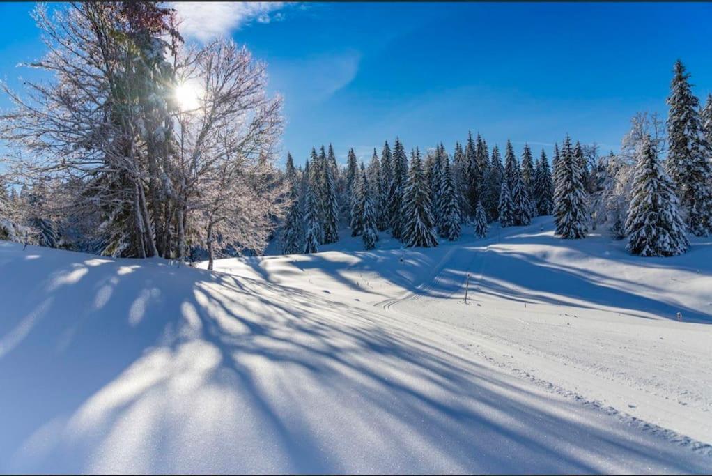 Chaleureux Studio Montagnard Avec Balcon 2303 Prémanon エクステリア 写真